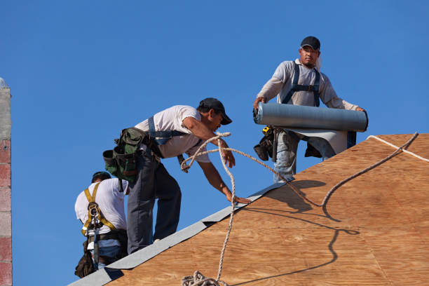 Best Gutter Installation and Roofing  in Etna, PA